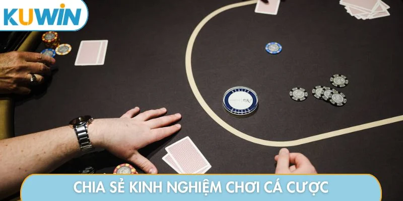 Chia sẻ kinh nghiệm chơi cá cược